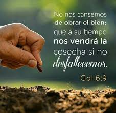Pin By Maria Ines On Jesus Yo Creo En Ti Bible Quotes My Bible Bible Inspiration