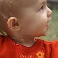 Almost Amish by Nancy Sleeth