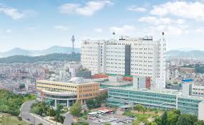 38541, 경상북도 경산시 대학로 280 영남대학교 문화인류학과 tel. ì˜ë‚¨ëŒ€í•™êµë³'ì› ì˜ë£Œì›ì•ˆë‚´ ë³'ì›ì´ì•¼ê¸° ë³´ë„ìžë£Œ