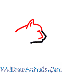 Select from 35970 printable crafts of cartoons, nature, animals, bible and many more. How To Draw A Cheetah