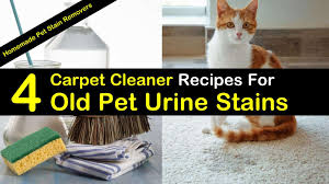 The most effective one is the vinegar solution.to remove years old carpet stains, you can go for a half portion of vinegar with half baking soda. 4 Best Carpet Cleaner Recipes For Old Pet Urine Stains