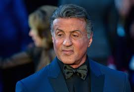 Her Undeniable Appeal - A Collection of Memories