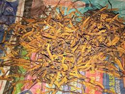 The market price at the time for the keeda jadi was modest. Herbal Dried Keeda Jadi Age Group Suitable For All Price 900000 Inr Kilograms Id 6319891