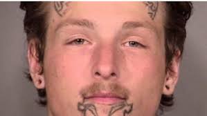 Your pup can be famous this year