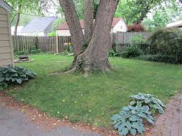 These online platforms offer different types of lawnmower and the price varies according to the age and features of the lawnmower. Tips For Buying A Used Lawn Mower