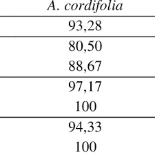 Image result for Paranecepsia alchorneifolia