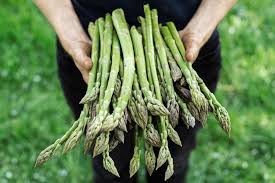 Se l'intenzione è consumare gli asparagi il giorno stesso, sarà sufficiente lasciarli all'interno di una ciotola piena di acqua fresca. Frittata Di Asparagi Selvatici Imprentas Magazine