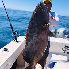 Calico bass, strawberry bass, speck, papermouth and slab. Are Calico Bass Good Eating Bloodydecks