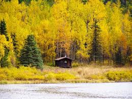 Each cabin rental comes with a 14' boat (or dock slip), a fire ring, a picnic table, and all the essentials (linens, toiletries, full kitchen, etc.) this lake is 749 acres in size. Swan Lake Cabin Seward Alaska Org