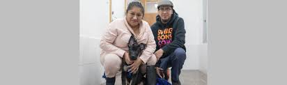 Find all the information for all pets vet hospital, that provides veterinary services in somerville, nj 08876. Veterinarian Union City Nj Ambassador Veterinary Hospital