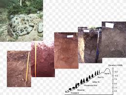 Soil Science Pedology Soil Science Edaphology Png 1463x1103px Soil Edaphology Geology Geotechnical Engineering Geotechnics Download Free