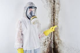 While this is fine, there are other types of mold to be concerned about: How Much Does Mold Remediation Cost Mold Removal And What You Re Really Paying For