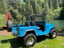 Image result for French Blue 1977 Hussmann