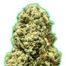 Aufzucht in nur 70 tagen, besonders ertragreich. Monster Girl Scout Cookies Feminised Seeds Von Monster Genetics Seedsman Hanfsamen