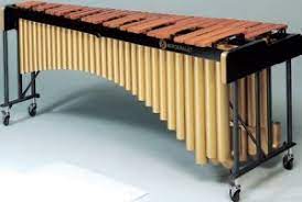 Lo xilofono è molto simile ai vibrafoni e alle marimbe. Xilofono Musica Colta L Uomo Il Tempo La Musica