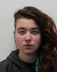 Climate change protest sees pensioner glue herself to Brazilian embassy