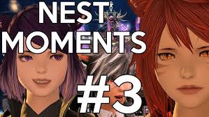 alpha male raiding strategies