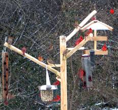 Diy Bird Feeder Pole System Tall Bird Feeder Pole Squirrel Proof Over 8 Feet Long Bird Feeders And Poles Bird Feeder Poles Squirrel Proof Bird Feeders Bird Feeding Station