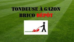 Une Tondeuse A Gazon Brico Depot Tondeuse Gazon Gazon Depot