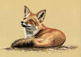 Check spelling or type a new query. Pies Lis Lisek Rysunek Obraz A4 9675875873 Oficjalne Archiwum Allegro