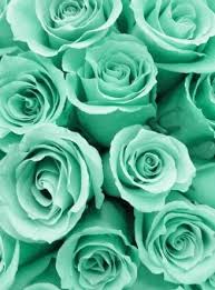 Find the best colorful flower wallpapers on getwallpapers. Pin On Wallpapers