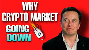 Bitcoin keeps going up lately, but eventually it will come back down, experts say. Why Crypto Market Going Down Elonmusk On Crypto Manipulating Cryptocurrency Latest News Today Youtube
