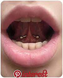 Pretty Pierced Girls Piercings For Girls Mouth Piercings Frenulum Piercing