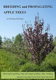 The seeds need to be kept under moist refrigeration for at least 6 weeks before they're planted. Breeding And Propagating Apple Trees About Splice Grafting Whip And Tongue Grafting Chip Budding And Growing Apple Trees From Seeds And More Ebook Thorninger Flemming Amazon Co Uk Kindle Store