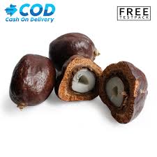 Penelitian yang dilakukan di mesir mengatakan bahwa buah zuriat atau buah doum memiliki kandungan antioksidan. 1 Kg Buah Zuriat Madinah Doum Hitam Pekat Asli Free Test Pack Untuk Program Hamil Shopee Indonesia