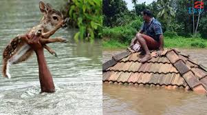 Kerala Floods A Letter From Mother Earth Countercurrents