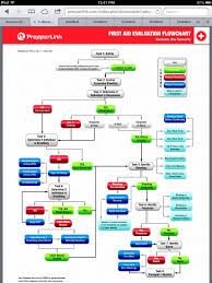 First Aid Evaluation Flow Chart By Prepperlink Flow Chart Visual Board Chart