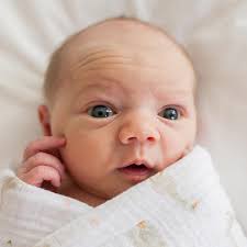 Sophie Serrano Photography (@sophieserranophotography) • Instagram photos  and videos