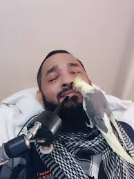 Bird Watching Live: Stunning Moments