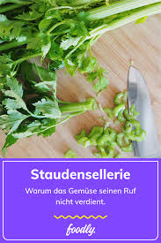 Staudensellerie Das Gemuse Das Seinen Ruf Nicht Verdient Foodly Staudensellerie Leckere Vegetarische Gerichte Rezepte
