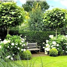 Gartentiaries Hortensien Buchsbaum Landschaftsgarten Gartentiaries Hortensien Buchsbaum Buchsbaum Garte Boxwood Garden White Gardens Front Landscaping