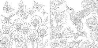 Since it is intended for the. Adult Coloring Book Vintage Butterflies And Hummingbird Among Royalty Free Cliparts Vectors And Stock Illustration Image 146991231