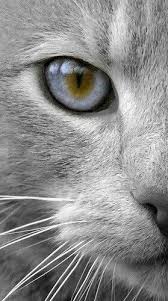 It's a Colorful Life ~