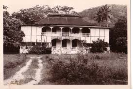 Image result for Hilsenbergia petiolaris