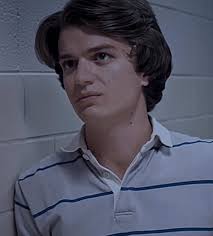 Steve Harrington Body Pillow