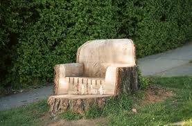 Jennilee Journal Jennilee Marigomen Tree Stump Yard Outdoor