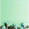 You can also upload and share your favorite green aesthetic tumblr wallpapers. Https Encrypted Tbn0 Gstatic Com Images Q Tbn And9gcs3uh9588rtt Aanwya6vr3n8b89evxngoaswuse6a8dgyhj845 Usqp Cau
