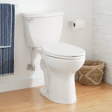 This is because the best toilet seats are ones that you don't even notice are there. Bradenton Two Piece Elongated Toilet With 10 Rough In 17 Bowl Height Toilets Bidets