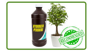 1 cup of molasses 1 cup of 3% hydrogen peroxide 1 gallon water. 11 Mega Reasons Why Hydrogen Peroxide For Plants Is A Must