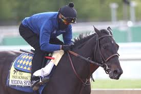 Medina spirit (foaled april 5, 2018) is a champion american thoroughbred racehorse who won the 2021 kentucky derby.he qualified for the race by winning the robert b. Qc6q4uh6fehf M