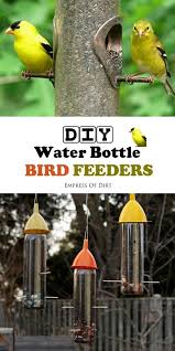 Bird Feeders For Small Birds How To Make Water Bottle Bird Feeders Bird Feeders Diy Water Bottle Diy Water