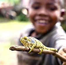 Condition of Flagg Ranch Road?