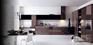 Modern Brown Kitchen Modern Kitchen Design Contemporary Kitchen Design Italian Kitchen Design