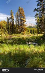 The primary coordinates for moose lake places it within the 83539 zip code delivery area. Rocky Mountains Image Photo Free Trial Bigstock