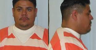 Man attacked by Cheyenne police dog gets prison time for injuring officer