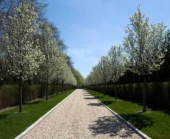 We did not find results for: Modern Tuscan Estate Traditional Landscape New York By Perello Design Build Houzz
